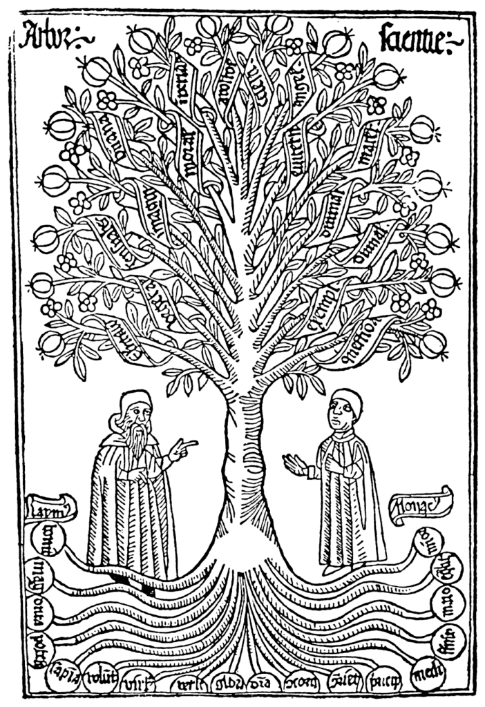 Arbor Scientiae (Tree of Science) by Raymond Lull (source).