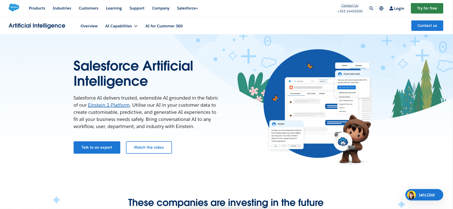Salesforce Einstein user interface.